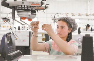 新疆生產(chǎn)建設(shè)兵團(tuán) 固邊興疆，兵地富余勞動(dòng)力轉(zhuǎn)型產(chǎn)業(yè)工人助力針紡織業(yè)發(fā)展